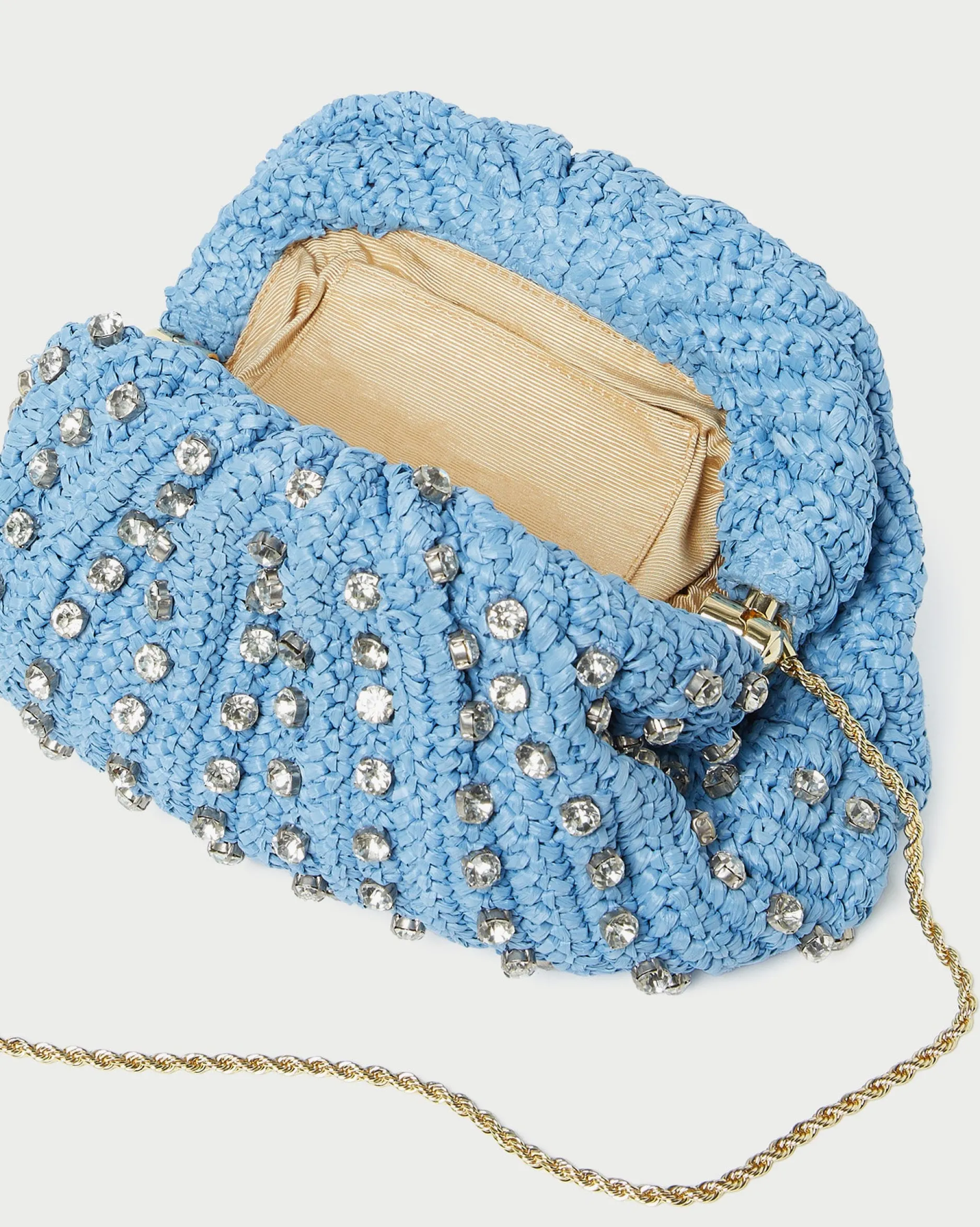 Loeffler Randall Bailey Pleated Dome Clutch